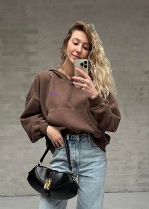 Plizzy hoodie Chestnut American Vintage 